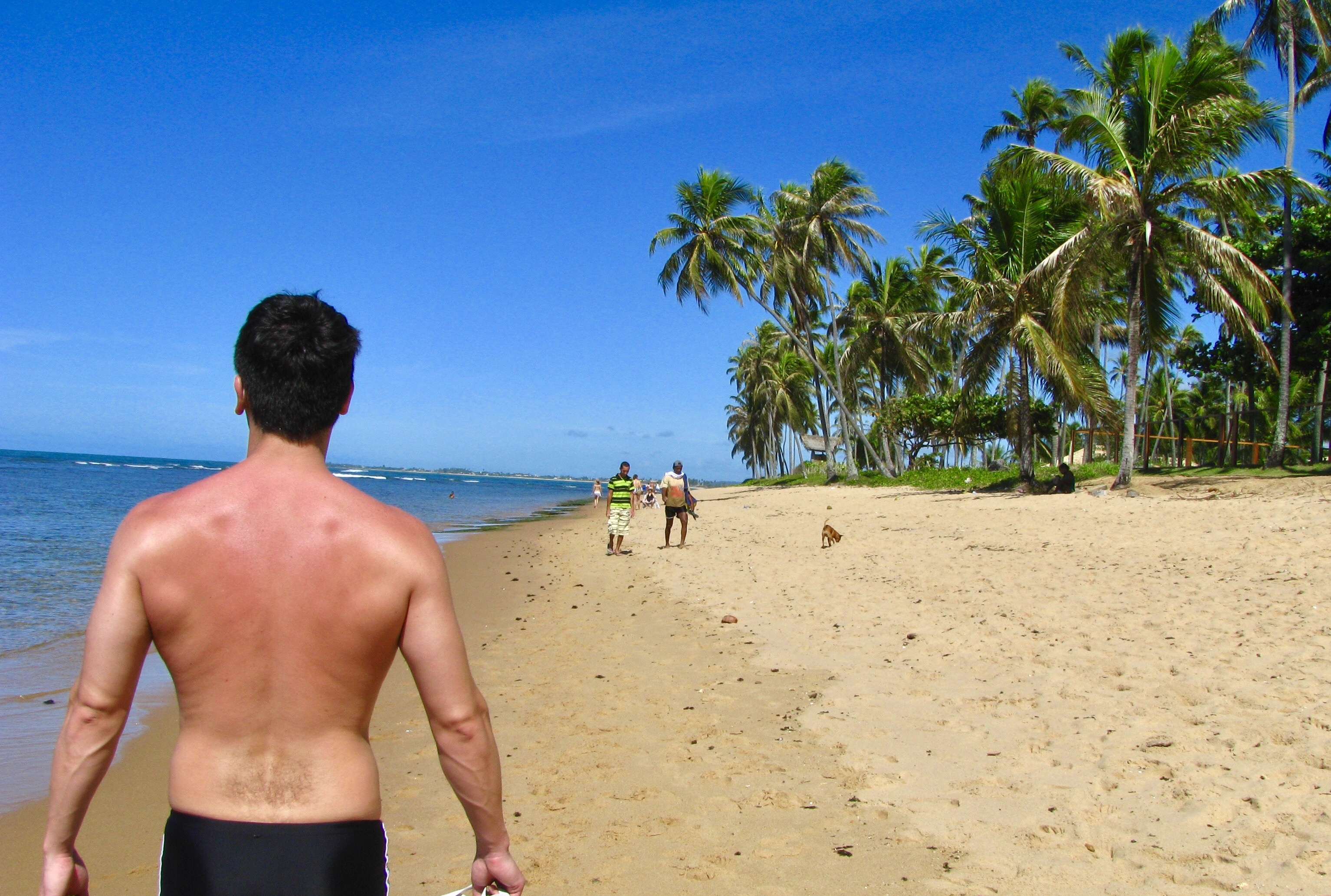 o que fazer na praia do forte beira da praia