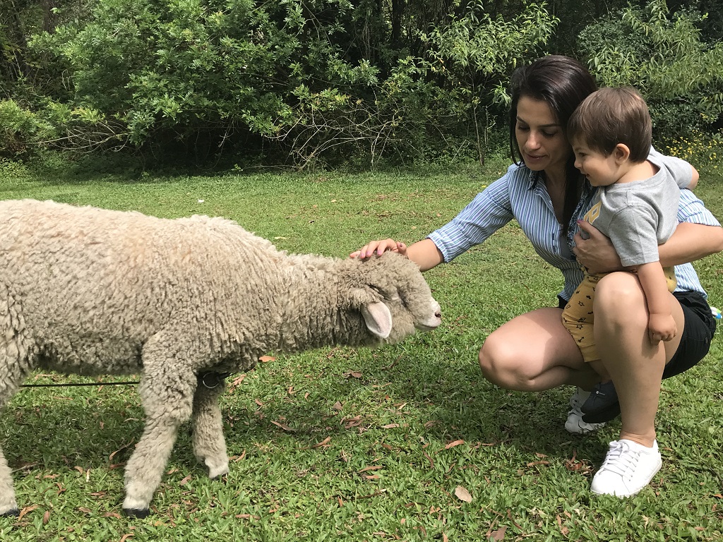 ovelha na pousada charaqueada santa rita
