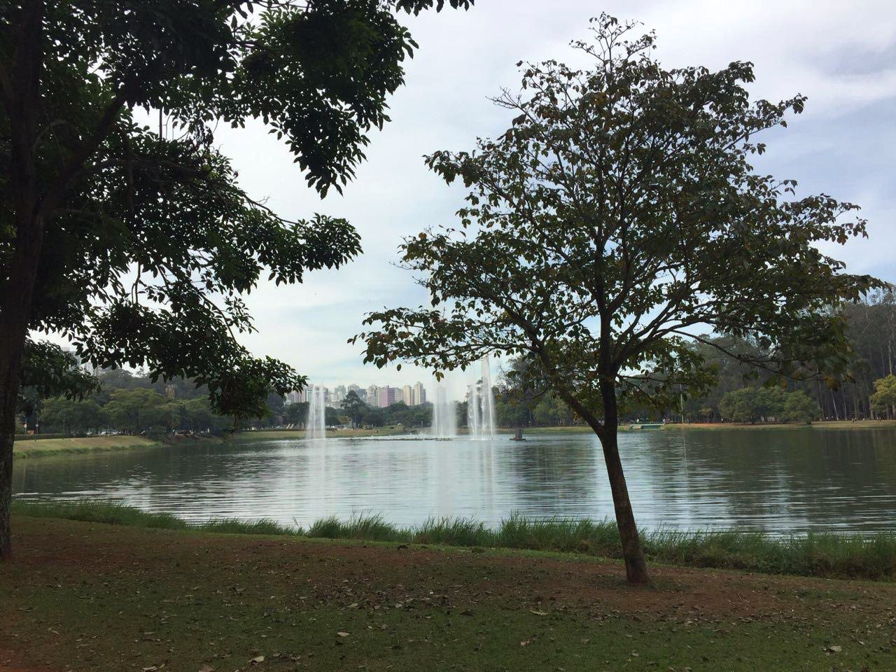 final de semana em são paulo parque ibirapuera