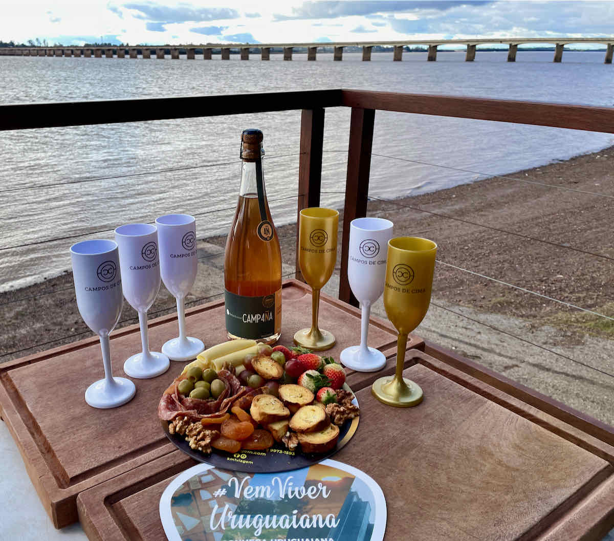 Uruguaiana Passeio de barco TravelTerapia