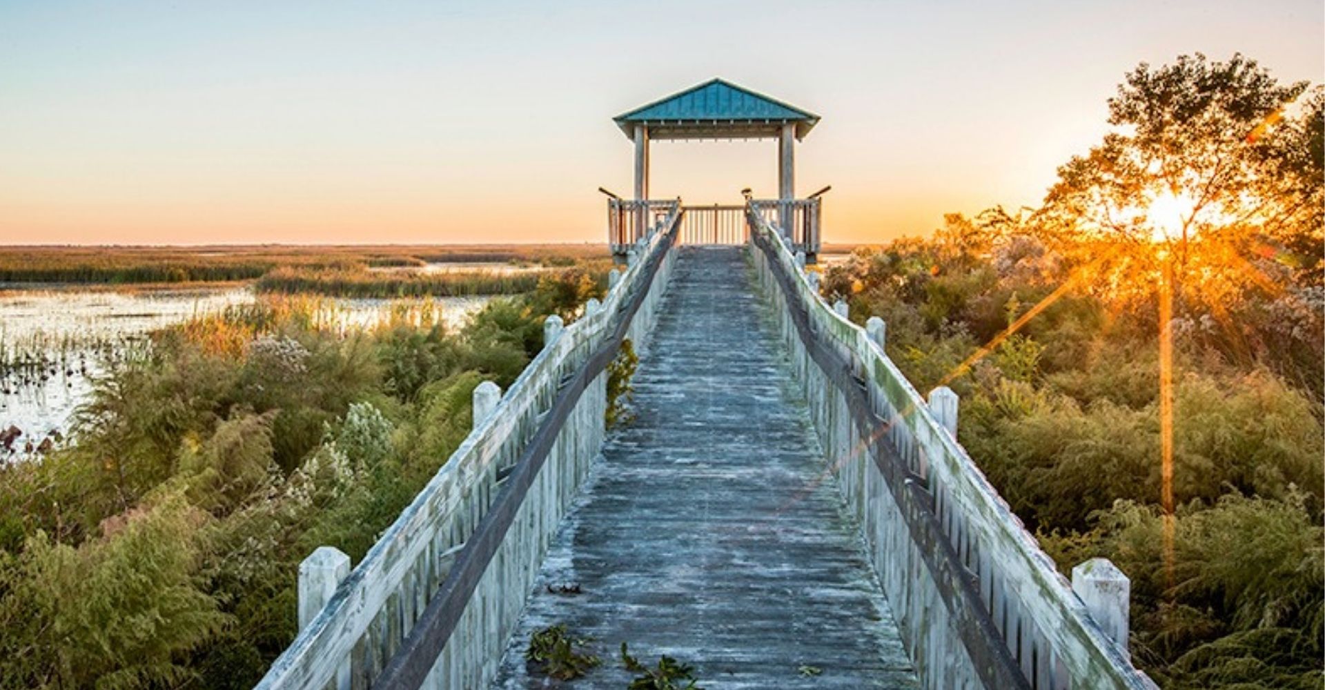 5 roteiros no sul dos Estados Unidos para curtir a natureza - TravelTerapia