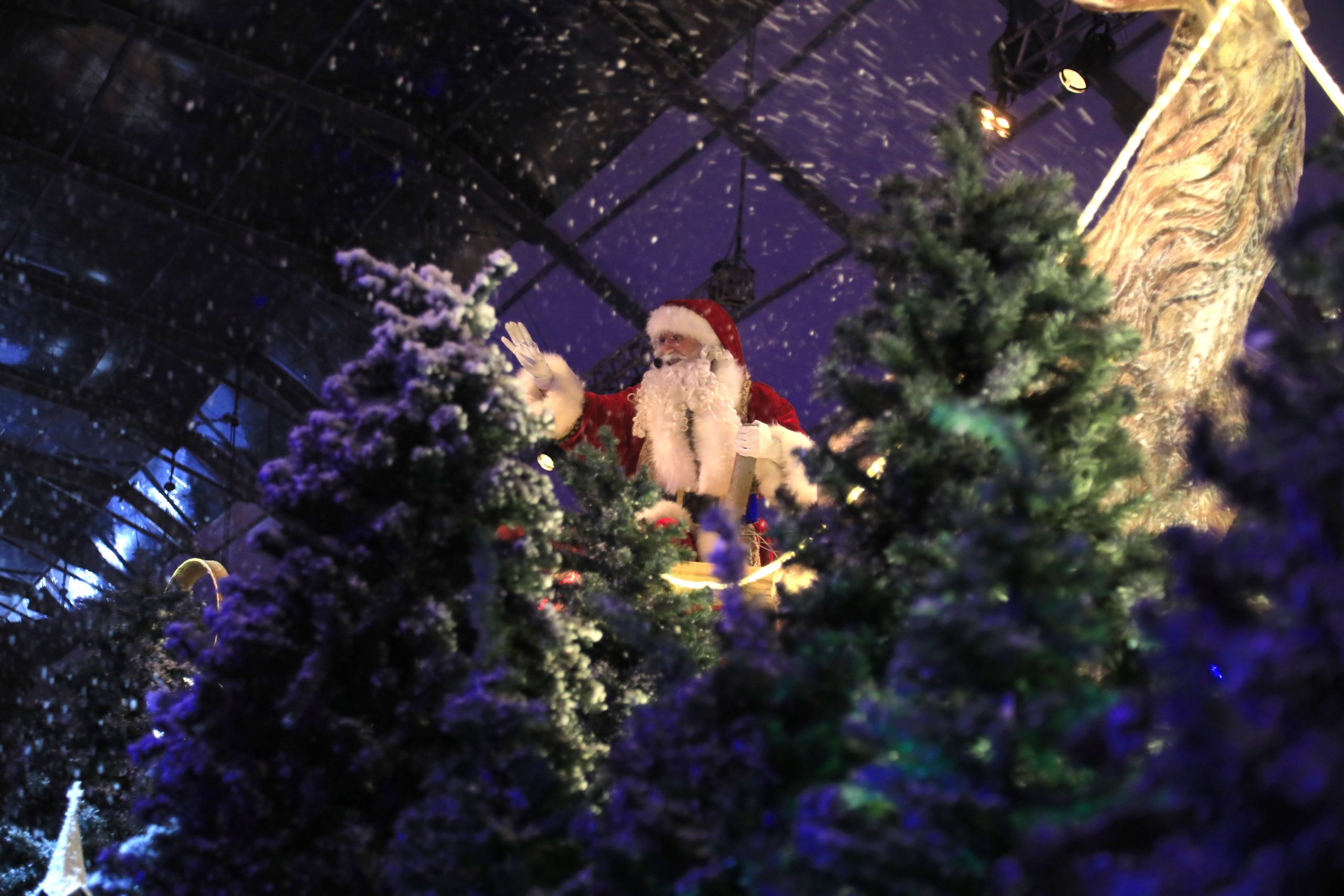 Gramado e Canela: Confira a programação do Natal Luz e Sonho de Natal - TravelTerapia Gramado e Canela: Confira a programação do Natal Luz e Sonho de Natal - TravelTerapia